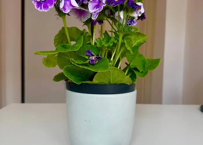 Da Lina Апартаменты *