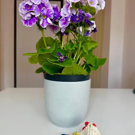 Da Lina Διαμέρισμα *